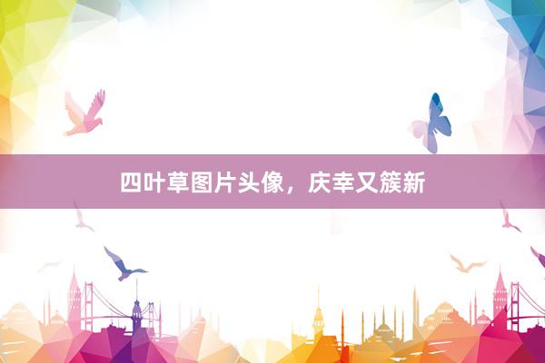 四叶草图片头像，庆幸又簇新