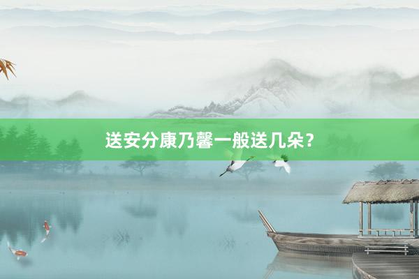 送安分康乃馨一般送几朵？