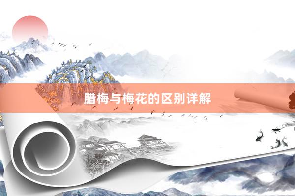 腊梅与梅花的区别详解