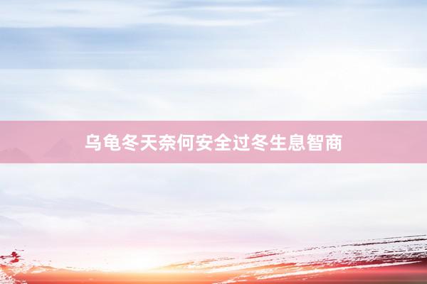乌龟冬天奈何安全过冬生息智商